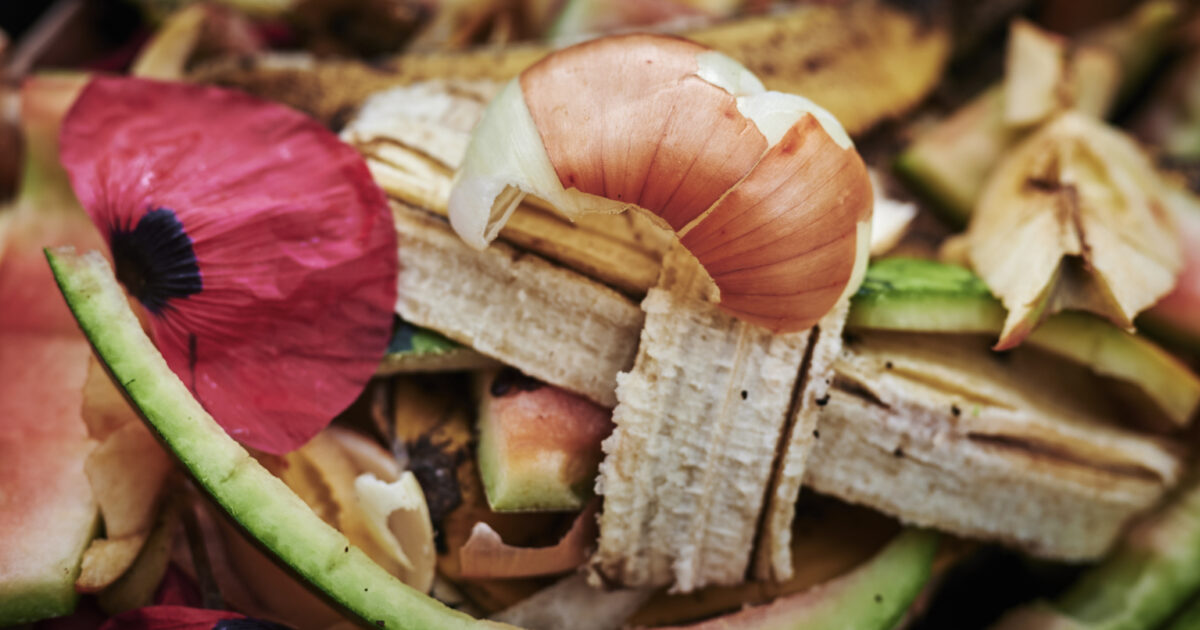 Project develops materials with vegetable waste to manufacture… WMW